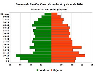 Pirámide de edades