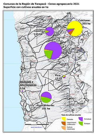 Mapa con gráficos de torta por comuna que muestran la composición de los cultivos anuales