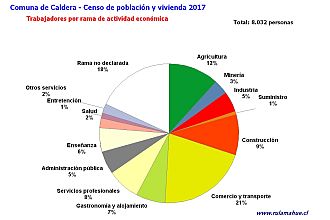 Número de trabajadores por rama de actividad en el año 2017