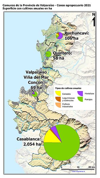 Mapa con gráficos de torta por comuna que muestran la composición de los cultivos anuales