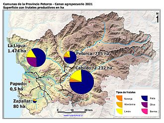 Mapa con gráficos de torta por comuna que muestran la composición de las superficies con frutales