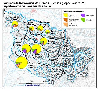 Mapa con gráficos de torta por comuna que muestran la composición de los cultivos anuales