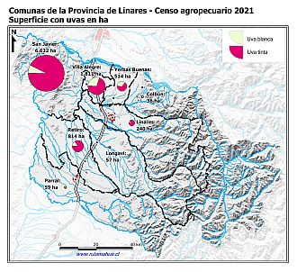 Mapa con gráficos de torta por comuna que muestran la composición de las superficies con uvas