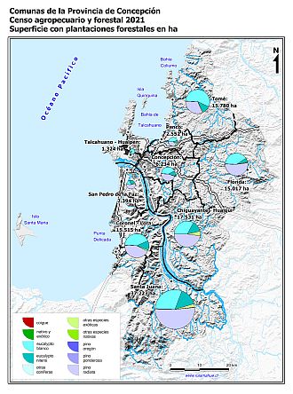 Mapa con gráficos de torta por comuna que muestran la composición de las plantaciones forestales