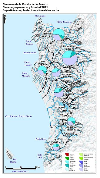 Mapa con gráficos de torta por comuna que muestran la composición de las plantaciones forestales