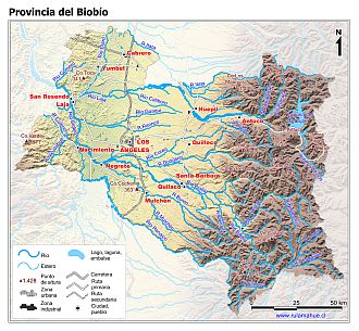Mapa de la Provincia del Biobío con fondo coloreado