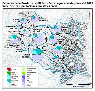 Mapa con gráficos de torta por comuna que muestran la composición de las plantaciones forestales