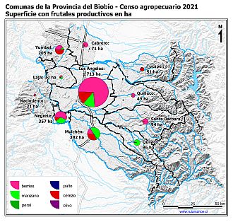 Mapa con gráficos de torta por comuna que muestran la composición de las superficies con frutales