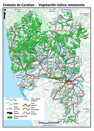 Mapa de la vegetación nativa remanente