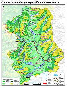 Mapa de la vegetación nativa remanente