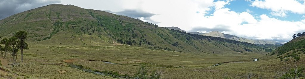 paisaje de las verandas en la comuna de Lonquimay